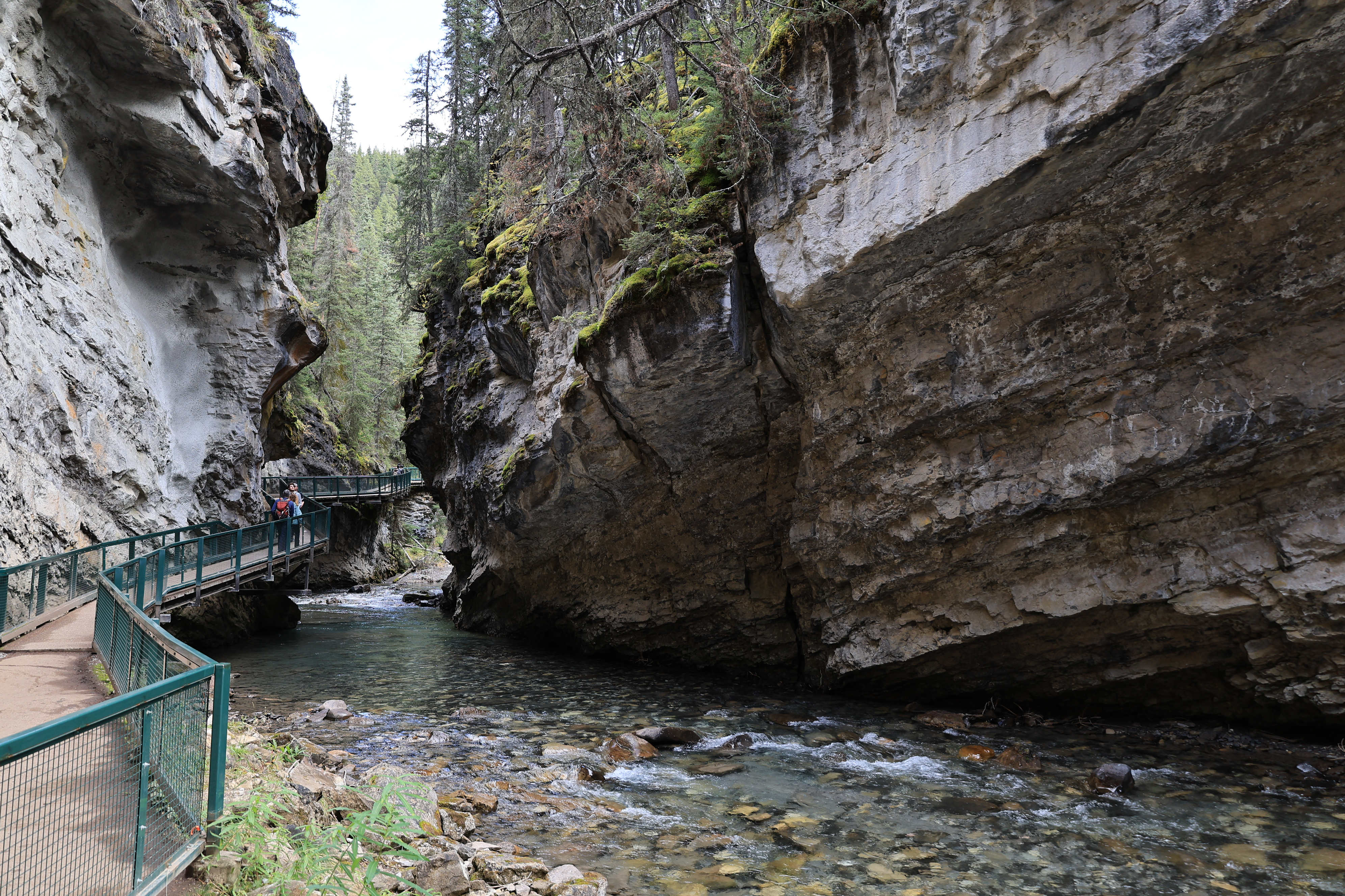 NP Banff